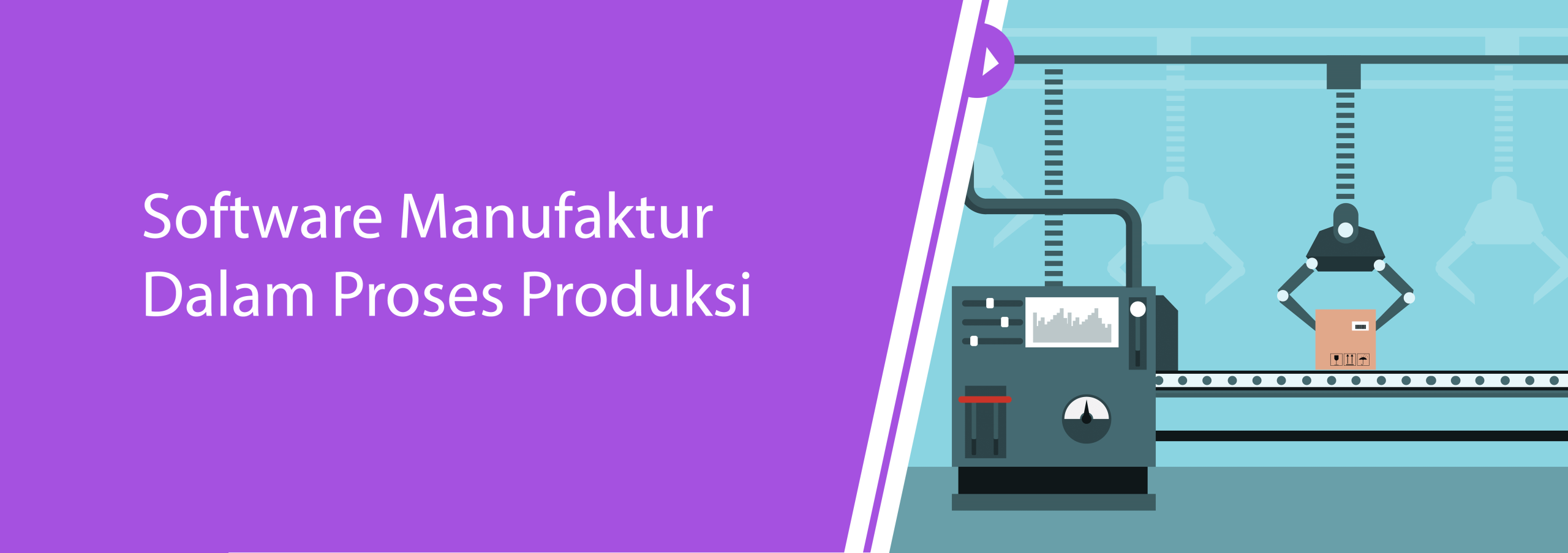 Software Manufaktur
