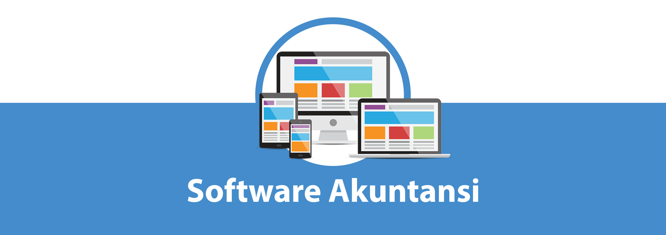 Software-akuntansi